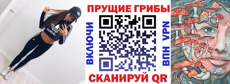 цена наркотик  Лениногорск  Псилоцибиновые грибы Cubensis 