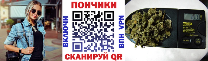 Шишки марихуана семена  цены   Лениногорск 